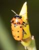 304046 – Photo : éric Pensa – France (13)